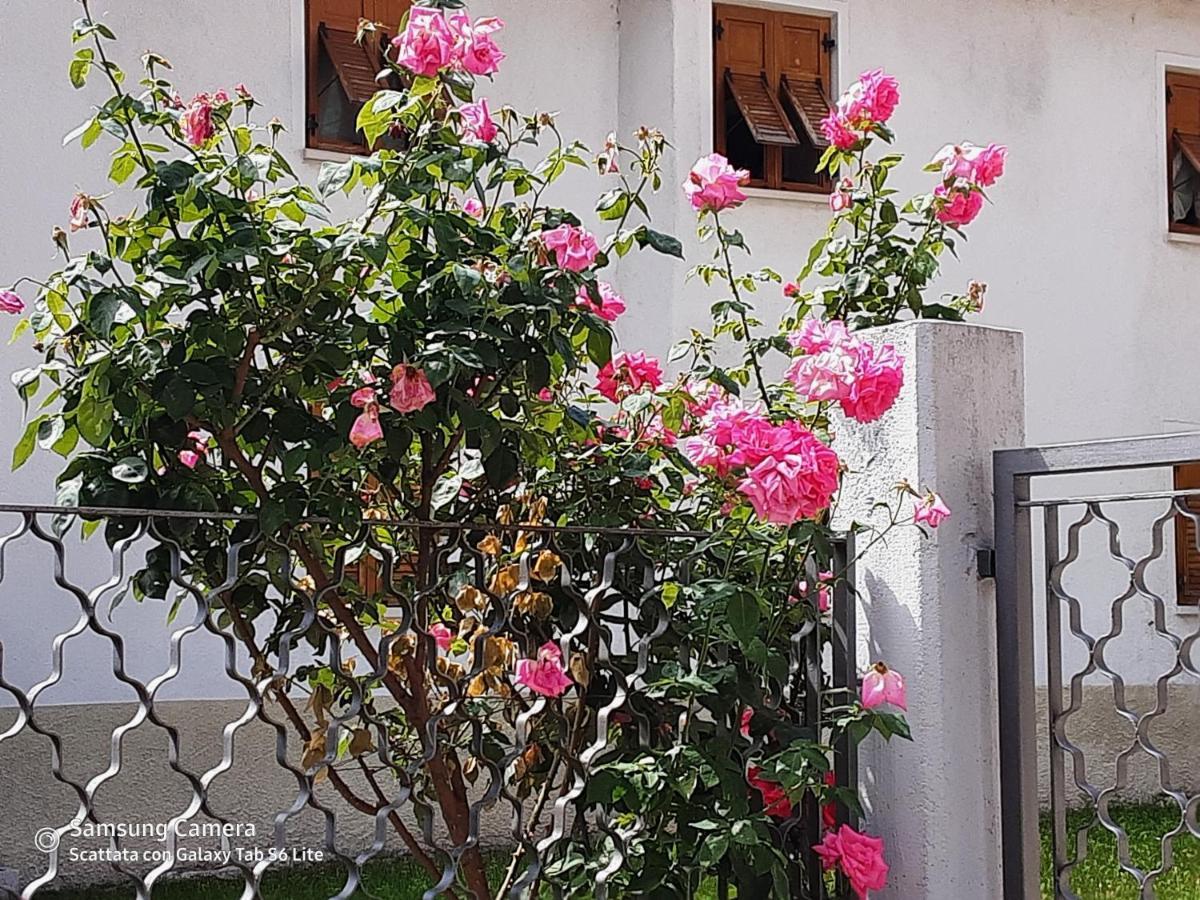 B&B Anna Rovere della Luna Экстерьер фото